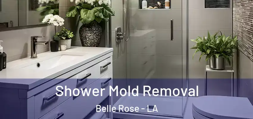 Shower Mold Removal Belle Rose - LA