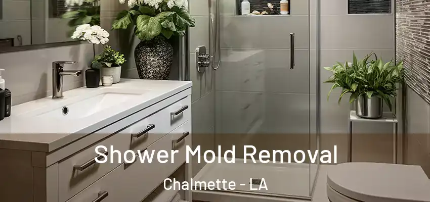  Shower Mold Removal Chalmette - LA
