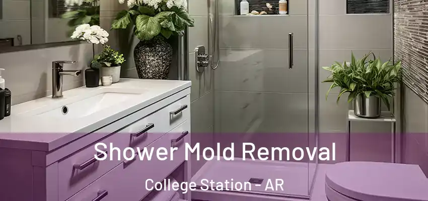  Shower Mold Removal College Station - AR