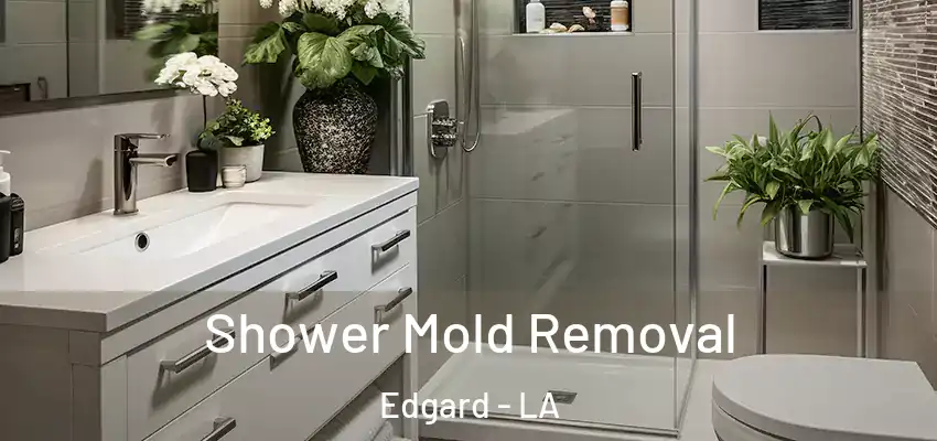  Shower Mold Removal Edgard - LA