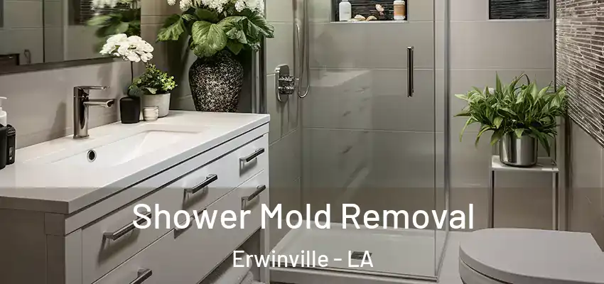 Shower Mold Removal Erwinville - LA
