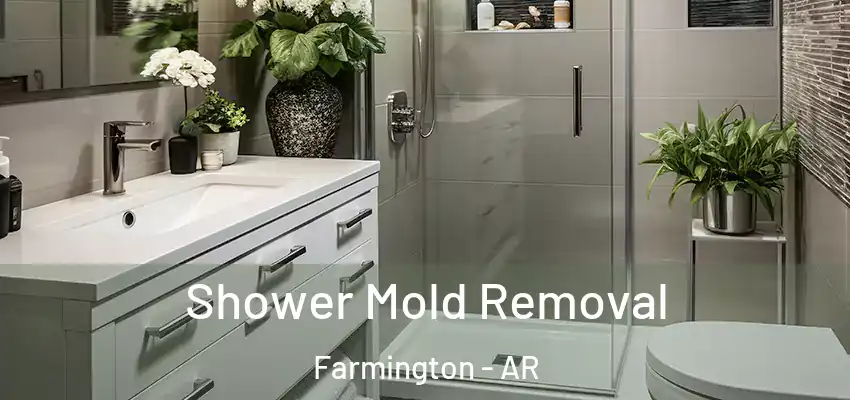  Shower Mold Removal Farmington - AR