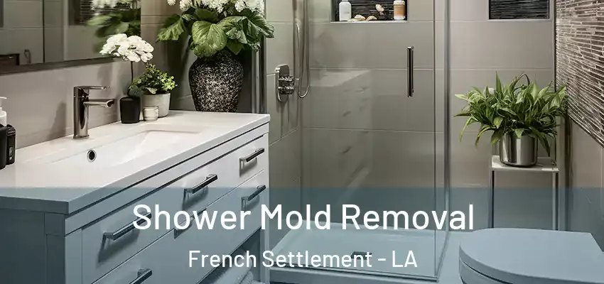  Shower Mold Removal French Settlement - LA