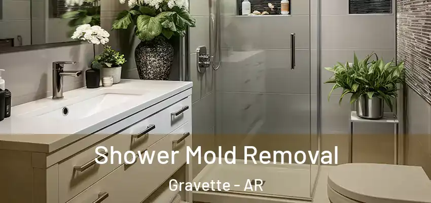  Shower Mold Removal Gravette - AR