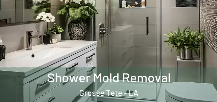  Shower Mold Removal Grosse Tete - LA