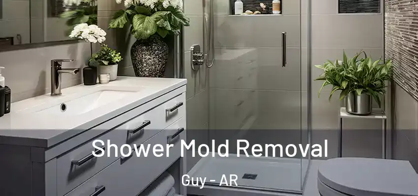  Shower Mold Removal Guy - AR