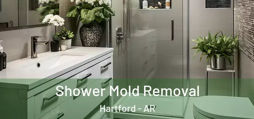  Shower Mold Removal Hartford - AR