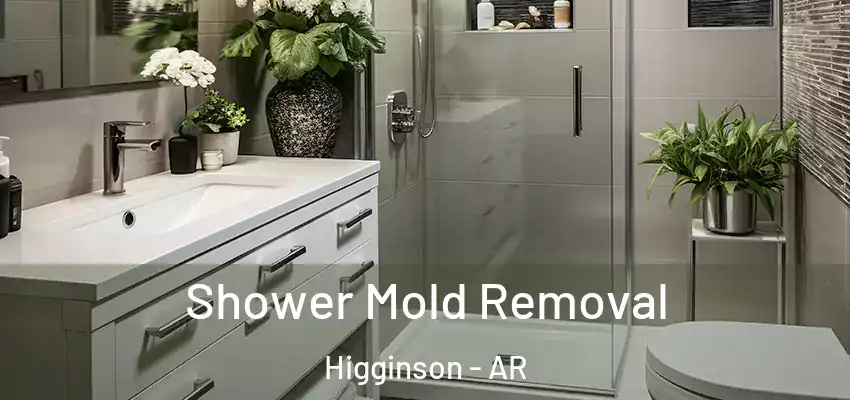  Shower Mold Removal Higginson - AR