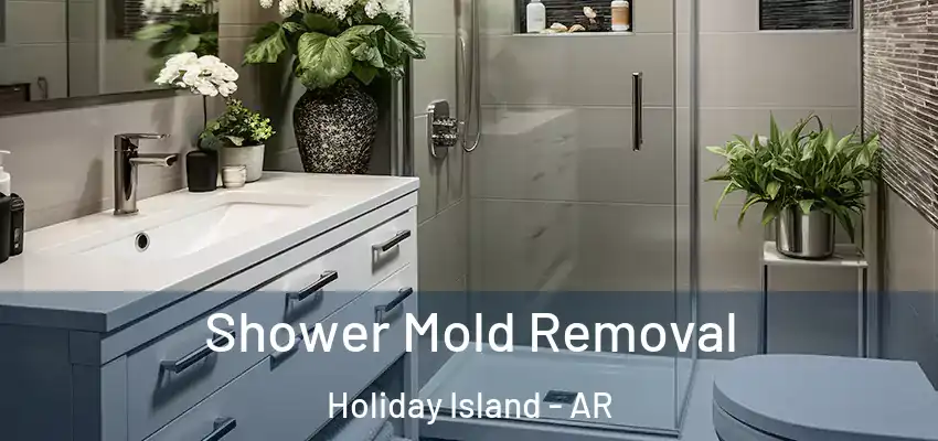  Shower Mold Removal Holiday Island - AR