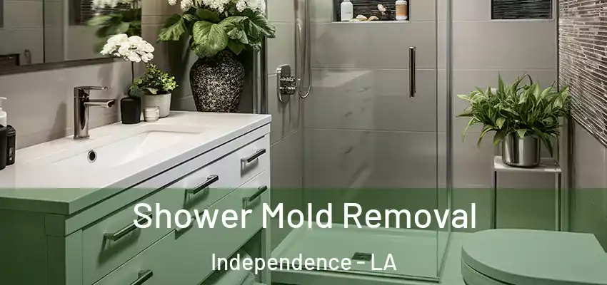  Shower Mold Removal Independence - LA