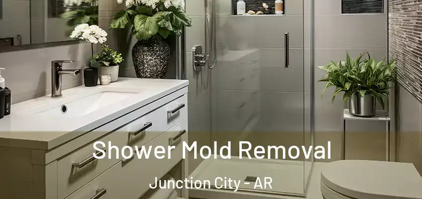  Shower Mold Removal Junction City - AR