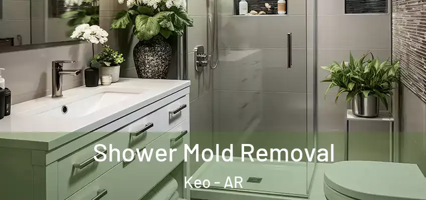  Shower Mold Removal Keo - AR