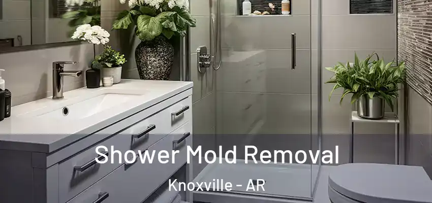  Shower Mold Removal Knoxville - AR