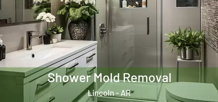  Shower Mold Removal Lincoln - AR