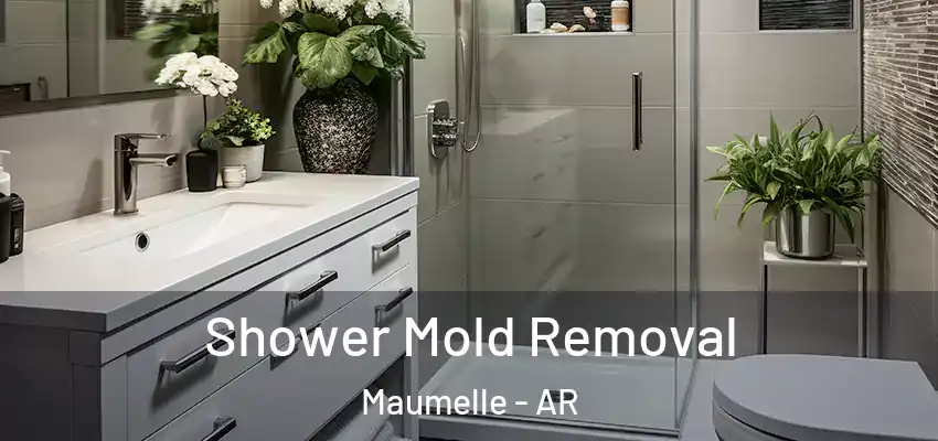  Shower Mold Removal Maumelle - AR
