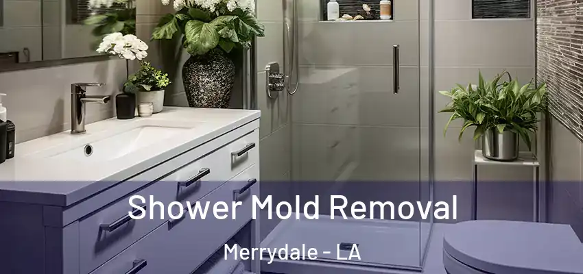  Shower Mold Removal Merrydale - LA
