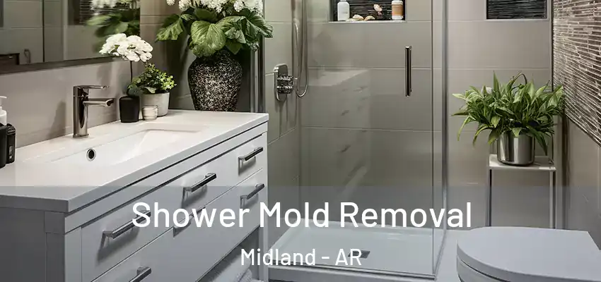  Shower Mold Removal Midland - AR