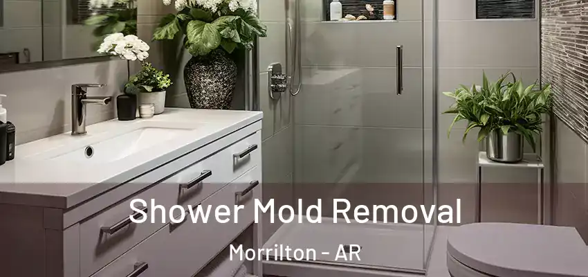  Shower Mold Removal Morrilton - AR