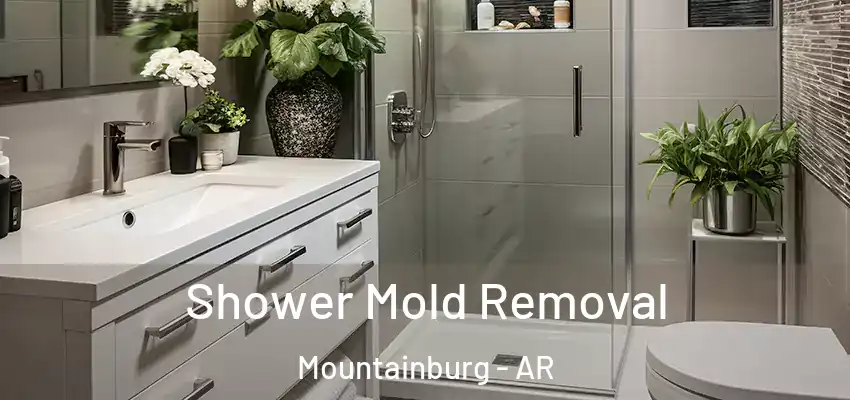  Shower Mold Removal Mountainburg - AR