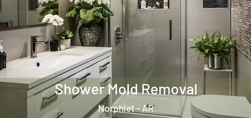  Shower Mold Removal Norphlet - AR