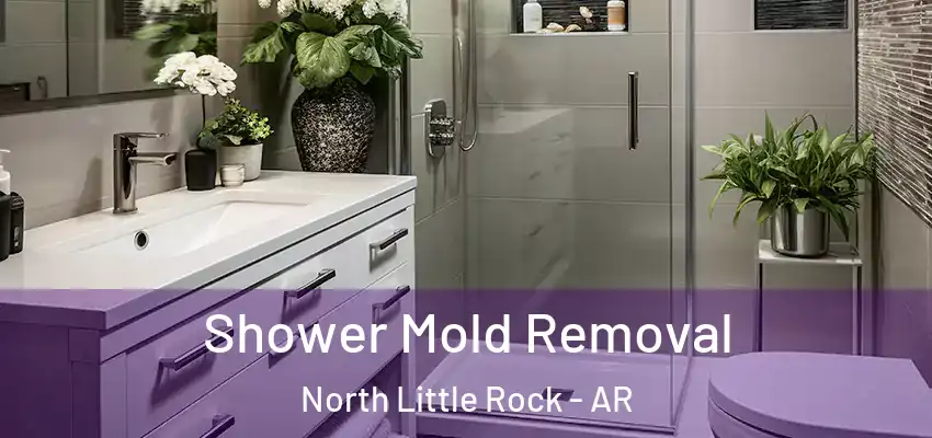  Shower Mold Removal North Little Rock - AR