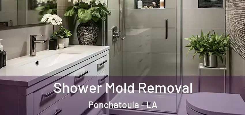  Shower Mold Removal Ponchatoula - LA