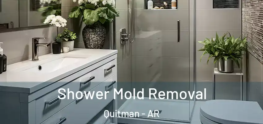 Shower Mold Removal Quitman - AR