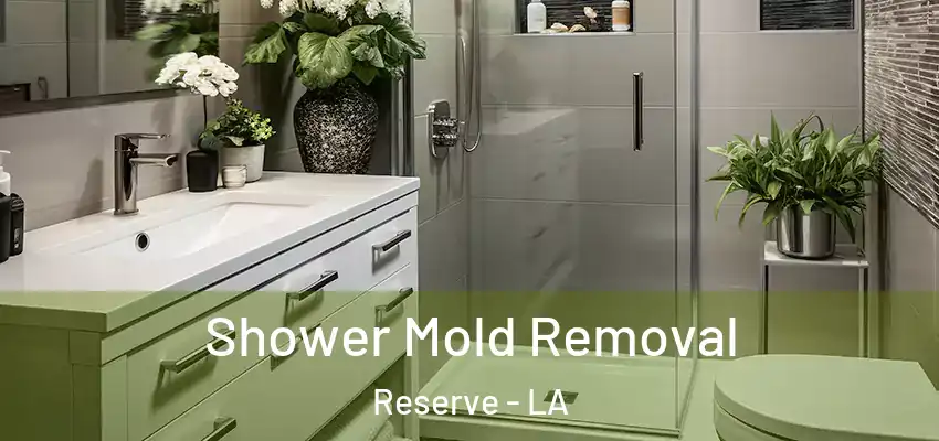  Shower Mold Removal Reserve - LA
