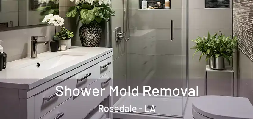  Shower Mold Removal Rosedale - LA