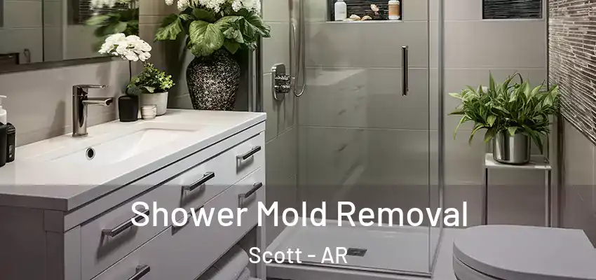  Shower Mold Removal Scott - AR