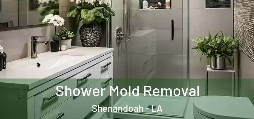  Shower Mold Removal Shenandoah - LA