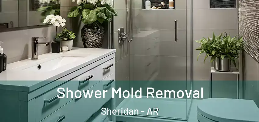  Shower Mold Removal Sheridan - AR