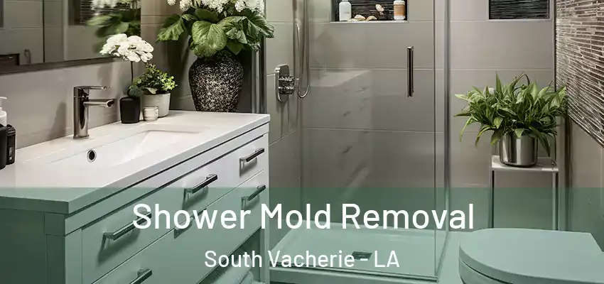  Shower Mold Removal South Vacherie - LA