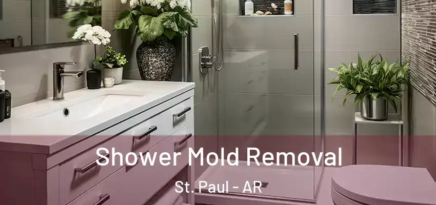  Shower Mold Removal St. Paul - AR