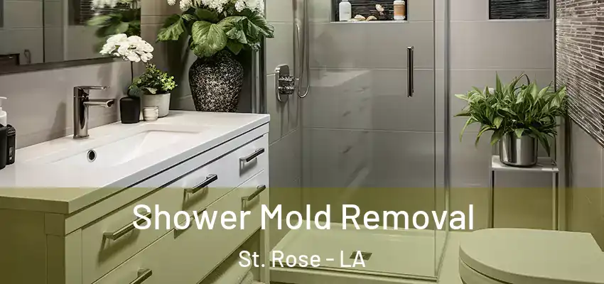  Shower Mold Removal St. Rose - LA