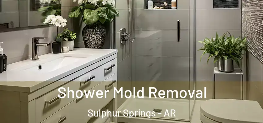  Shower Mold Removal Sulphur Springs - AR