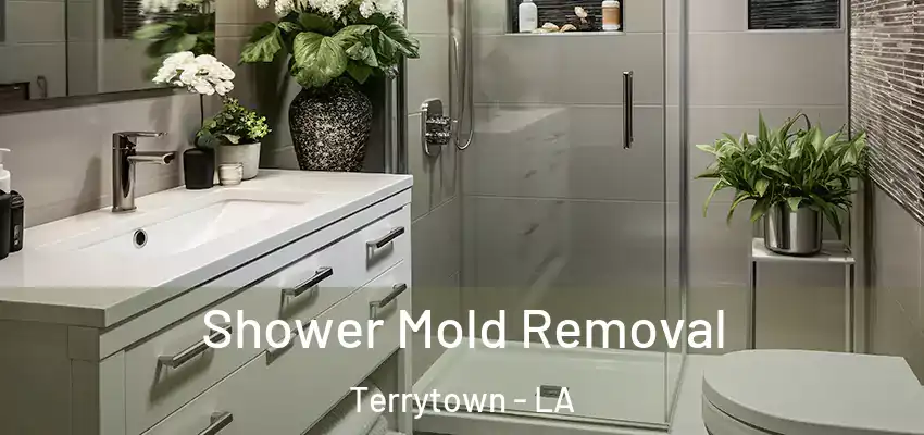  Shower Mold Removal Terrytown - LA
