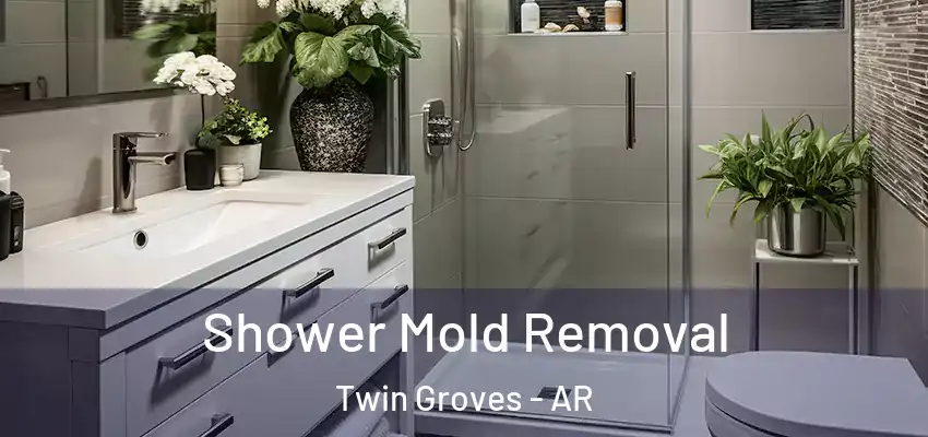  Shower Mold Removal Twin Groves - AR