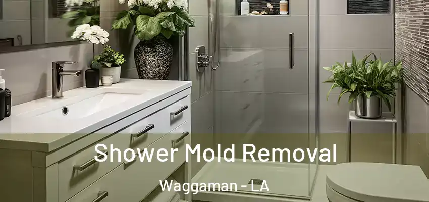  Shower Mold Removal Waggaman - LA
