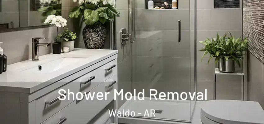  Shower Mold Removal Waldo - AR