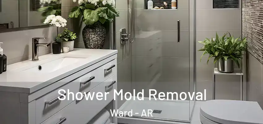 Shower Mold Removal Ward - AR
