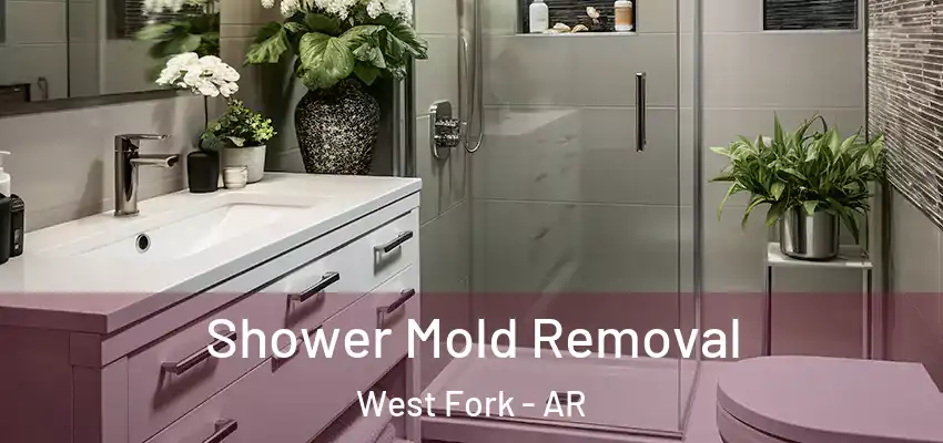  Shower Mold Removal West Fork - AR