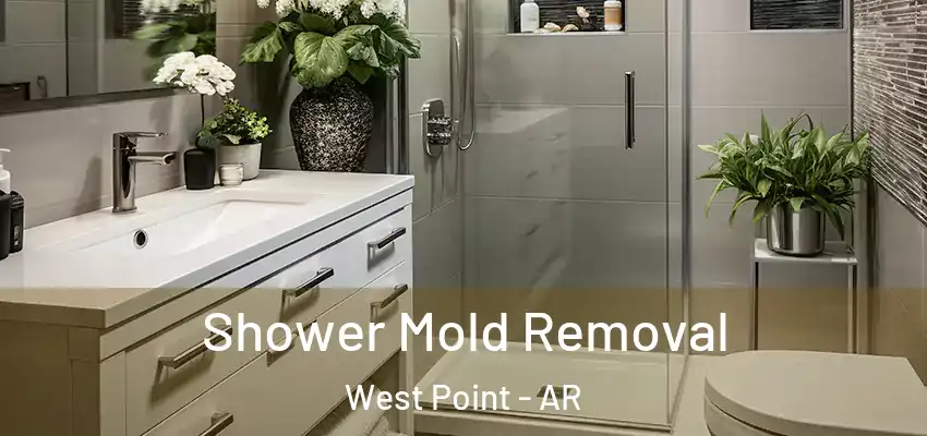  Shower Mold Removal West Point - AR